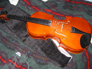 viola