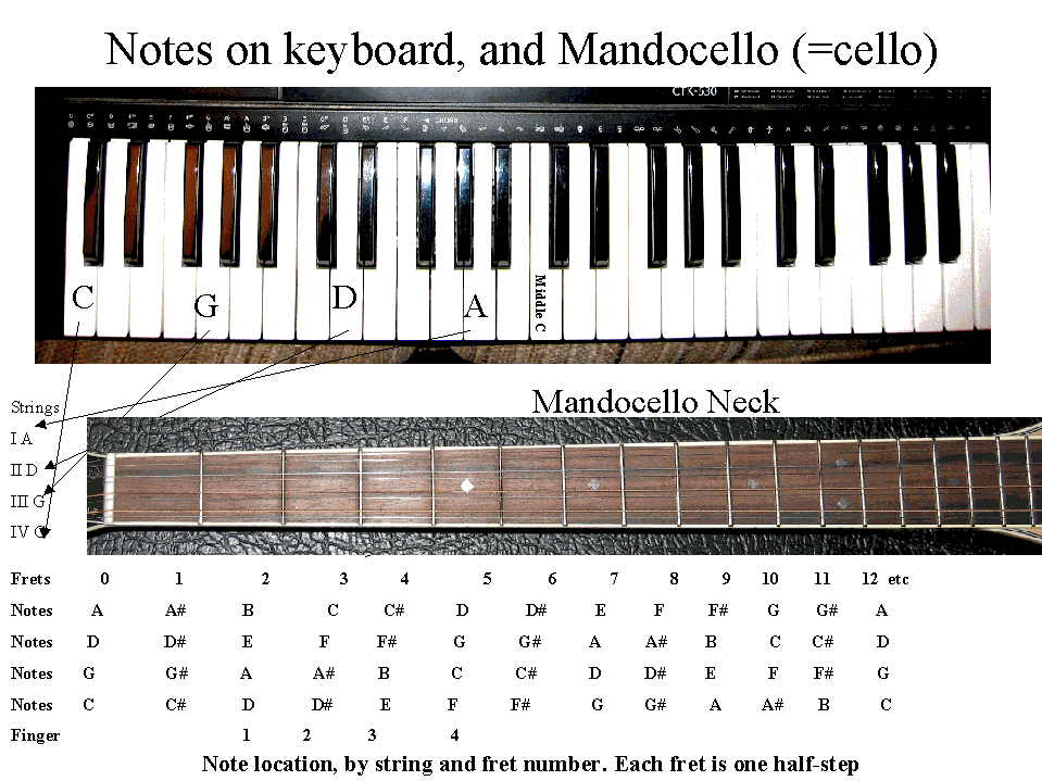 keyboard and mandocello notes