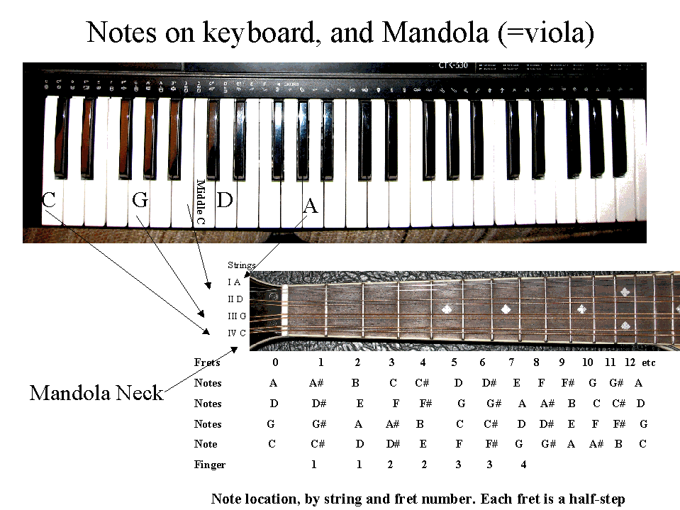 keyboard and mandola notes