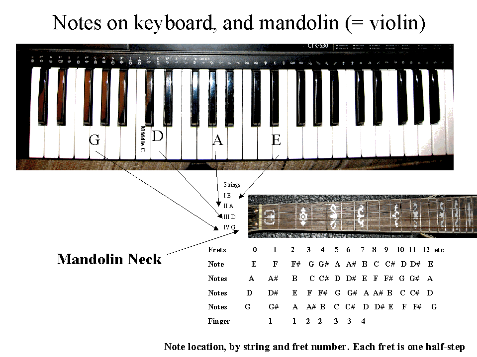 keyboard and mandolin notes